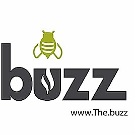 dotStrategy, Co., https://t.co/WpEBULWrtR, Create Buzz LLC. Plus, additional commentary from .buzz operator: Bill Doshier
