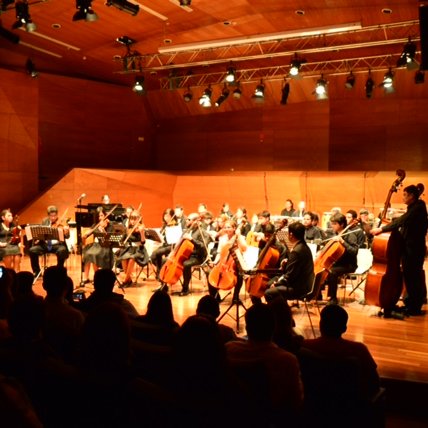 Twitter oficial de la Orquesta Sonidos de Luz, perteneciente a la Escuela de Ciegos Santa Lucia y Fundación Luz.