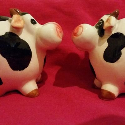 Ex dairy industry,still a strong interest & ties to Dairy Industry via family, friends & service providers.
Sales assistant at Ag Warehouse Colac