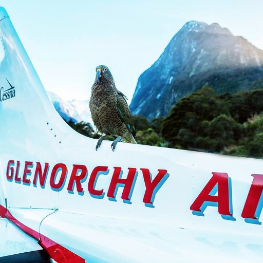 Scenic flight company. Flying from Queenstown to Milford Sound, Mount Cook, Glaciers and many more...