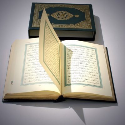حامل شهاده الدبلوم في التسويق وخدمه العملاء وأداره الاعمال موظف في احدالبنوك السعوديه مهتم بالسوق السعودي لدي المعلومه وأدير المحافظ . لازلت اقول غدأ اجمل يارب