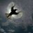 alishya38's avatar