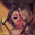 موجب زاير الباحه (@majefhffjjd) Twitter profile photo موجب زاير الباحه (@majefhffjjd) Twitter profile photo