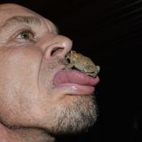Art wujkowski (@wujkowskiart) 's Twitter Profile