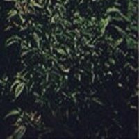 Blake Miller (@blakemiller07) 's Twitter Profile