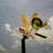 yoshi_cami's profile image