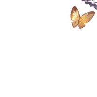 asamogi (@rutilu_s) 's Twitter Profile