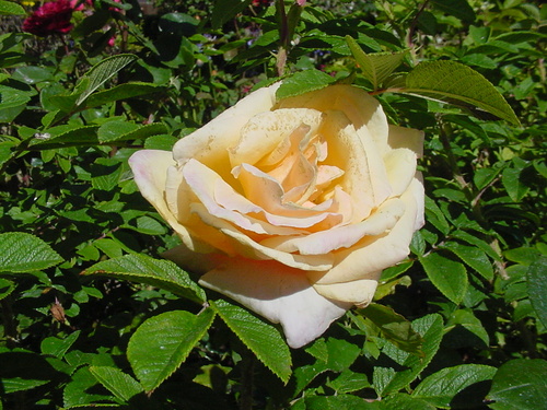 Following only those named Phyllis.  Writer for http://t.co/sV6XA7rGPf and entrepreneur