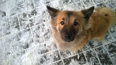 Studiolab5's profile picture. 