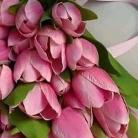 Ξ❤ـ‗_ღريماღ_‗❤️Ξ (@rima2030001) Twitter profile photo