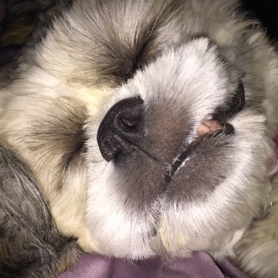 DebHarrington01's profile picture. 