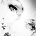 Nutti (@marcellenutti) Twitter profile photo Nutti (@marcellenutti) Twitter profile photo