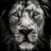 Alejandro Vigil (@alevigilmalbec) Twitter profile photo Alejandro Vigil (@alevigilmalbec) Twitter profile photo