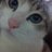 myopom's profile image