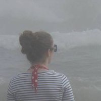Stephanie Attwater, PhD (@stephattwater) 's Twitter Profile