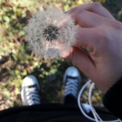 miriammedinar's profile picture. 