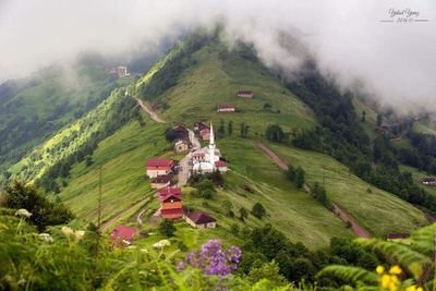 9abdulelah6's profile picture. 