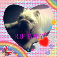 #JusticeForBaby (@givedogsavoice) 's Twitter Profile