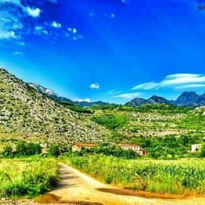 ElO1dpuS2tNydkH's profile picture. nature guide