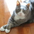 espyem's profile image