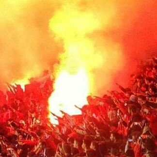 MasterBigjo's profile picture. Nascido na alma Benfiquista. Data preferida? 1904....A minha grande Paixao??? Sport Lisboa e Benfica.  A minha frase preferida é «E pluribus unum»