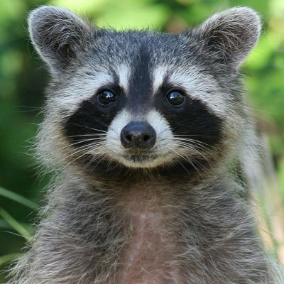 Fedya_Raketa's profile picture. 