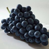 رجل ثقه + (@vip33rof) Twitter profile photo