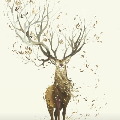 zembrapaola's profile picture. 