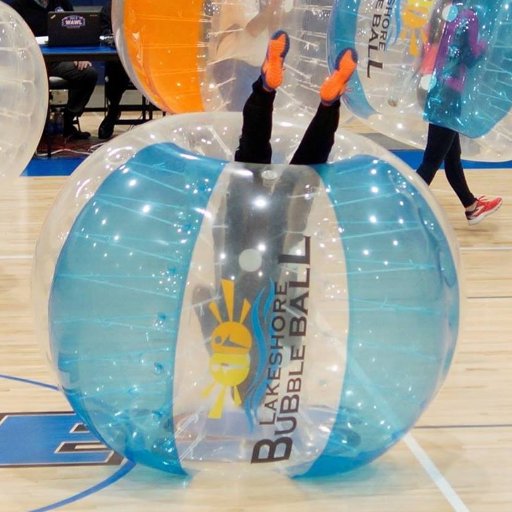 lakeshorebubble's profile picture. 