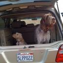 Lindsey Boatman - @lindsey_drew - Twitter