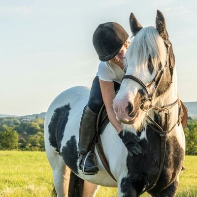 Through A Looking Glass - Equine, food & commercial photographer based in Worcester.