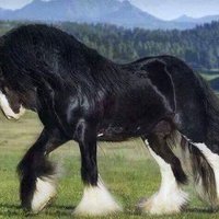 ياقوت 2 (@bzcj0wpf1w0qdp4) 's Twitter Profile