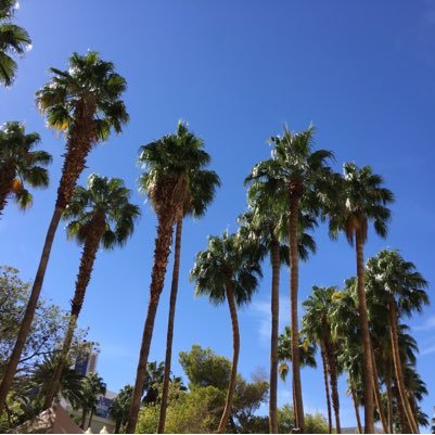 liztaylor04's profile picture. Reader, busy and many days a crazy wife, mom and teacher who is surviving life day by day