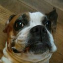 Robby Davidson - @RobbyDavidson4 - Twitter