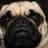 ElvisthePug's profile image