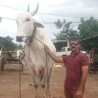 Mandar Phanse (@mandarphan) 's Twitter Profile