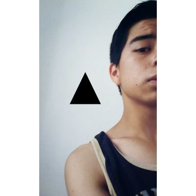 Soy un estúpido que hace estupideces bastante estúpidas.