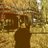 tjdang's profile image