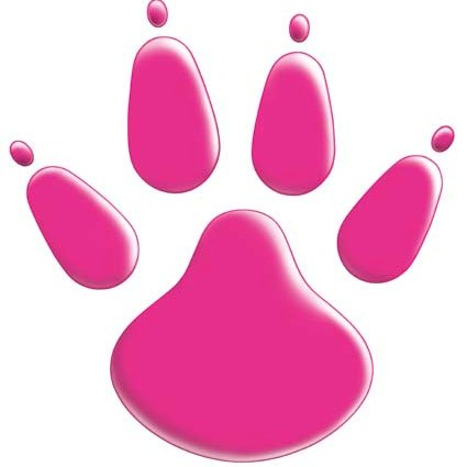 Yamazaki_senmon's profile picture. 渋谷にある愛玩動物看護師養成（3年制）の専門学校です🏫 『動物看護』を中心に『動物美容』『トレーニング』を学び、付加価値の高い愛玩動物看護師を目指します🐶🐱🦜 オープンキャンパスや入試、学校生活の様子などをお知らせします★