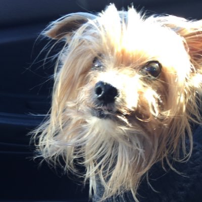 60s_chic's profile picture. 