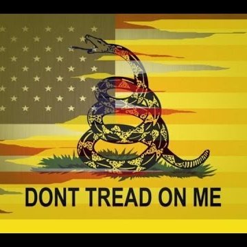 AfNeLvl6's profile picture. 