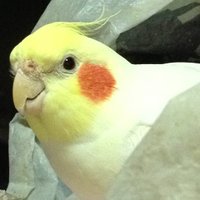 rei (@rei1019mama) Twitter profile photo