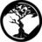 dissensorecords's profile image