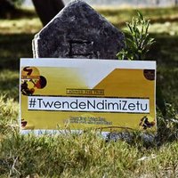 Ndimi Zetu (@ndimizetu) 's Twitter Profile