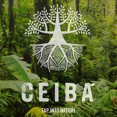 Healthy cinnamon infusions made with all natural ingredients. Low in sugar, low calories and an exotic flavour range. Tap into nature. Grab a CEIBA!