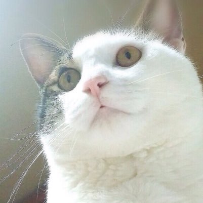 みやじまゆういちさんのプロフィール画像