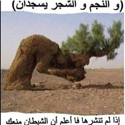 11_12312's profile picture. 