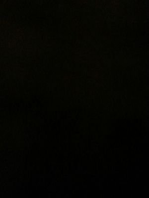 wschrock97's profile picture. Philippians 4:13☀