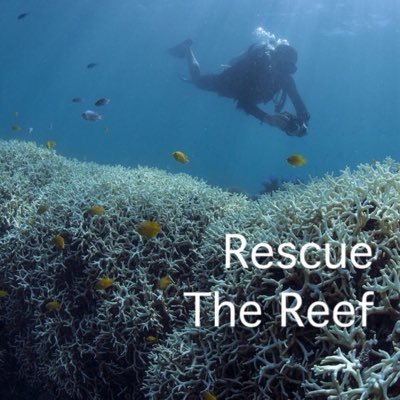 RescueReef's profile picture. We're students passionate about bringing awareness to the Great Barrier Reef and promoting the fight against climate change | @alyssums7 & @Ruhama_V | BHS