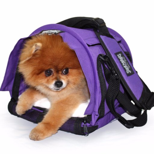 Quality products for traveling pets... and their people. https://t.co/pMdp1lYG2Z